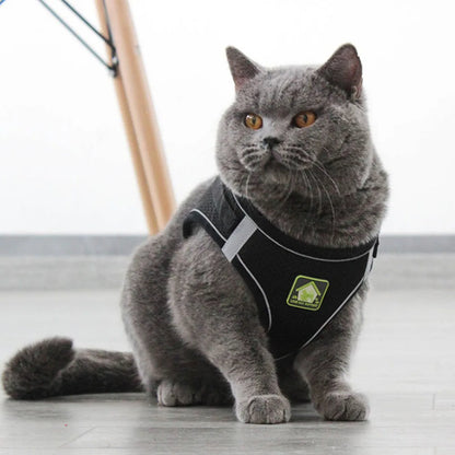 Adjustable Breathable Pet Dog Cat Harness and Leash Escape Proof Cat Vest Harness Puppy Dog Kitten Leads Reflective Cat Collar