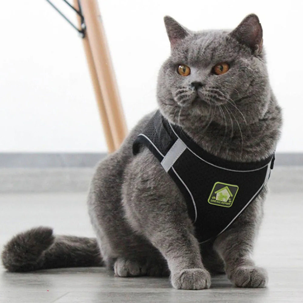 Adjustable Breathable Pet Dog Cat Harness and Leash Escape Proof Cat Vest Harness Puppy Dog Kitten Leads Reflective Cat Collar